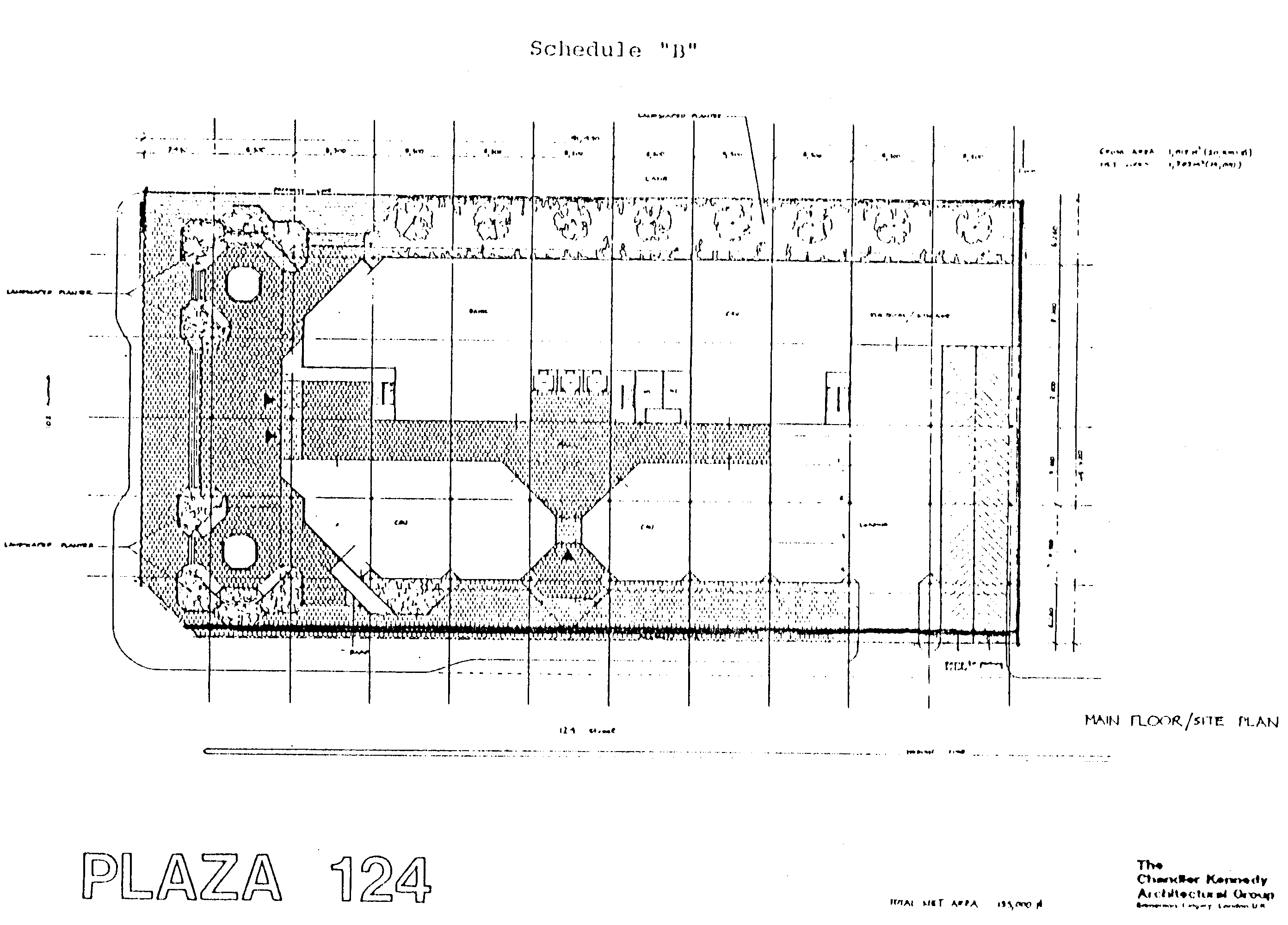 DC2 (I) C98 January 1982 Schedule B